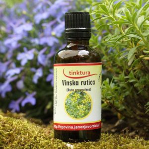 Tinktura iz vinske rutice (ruta graveolens) 50ml